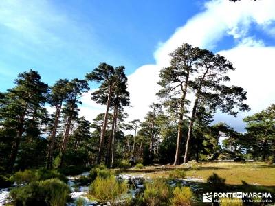 Valsaín - La Chorranca; clubes de montaña isla de la palma cantalojas majaelrayo tornavacas